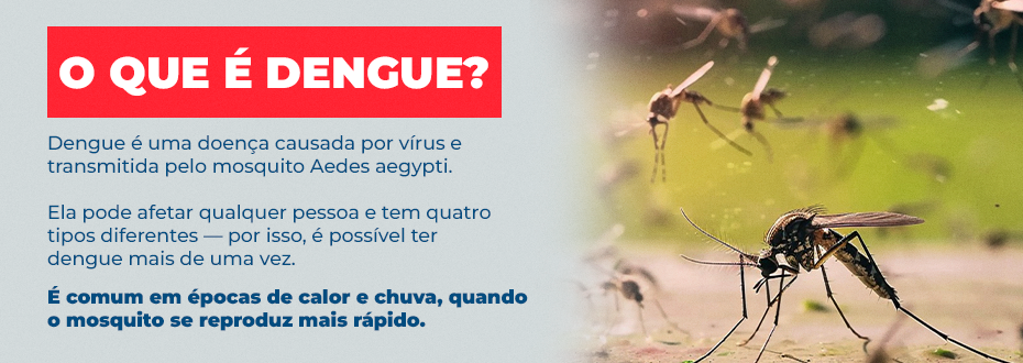 Saúde em foco: prevenção e cuidado na luta contra a dengue